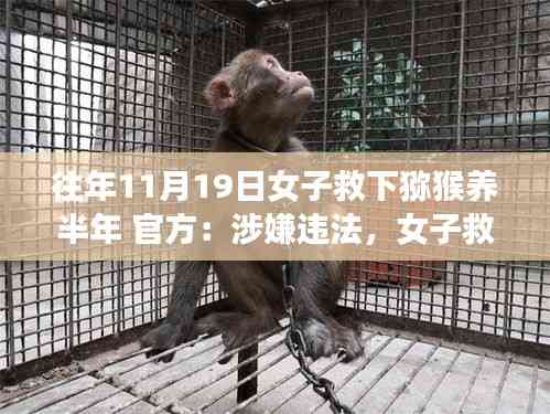 了解鹿瓷 第773頁