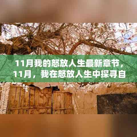 11月探尋自然秘境,怒放人生中的內心寧靜與平和