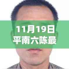 平南六陳最新動態報道，聚焦要聞，揭秘11月19日最新消息