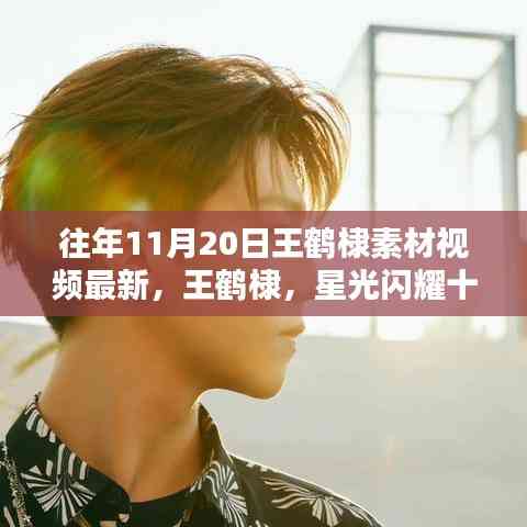 王鶴棣星光閃耀十一月,最新素材視頻回顧