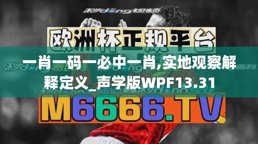 一肖一碼一必中一肖,實地觀察解釋定義_聲學版WPF13.31