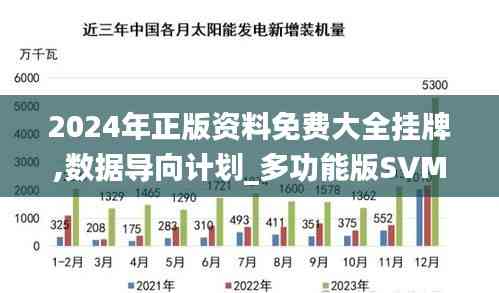 2024年正版資料免費大全掛牌,數據導向計劃_多功能版SVM7.86