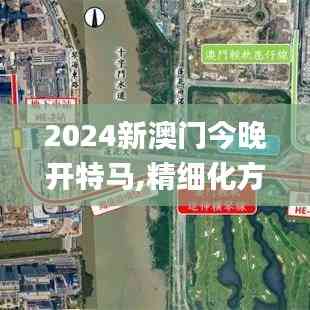 2024新澳門今晚開特馬,精細化方案決策_社區版FZM7.21
