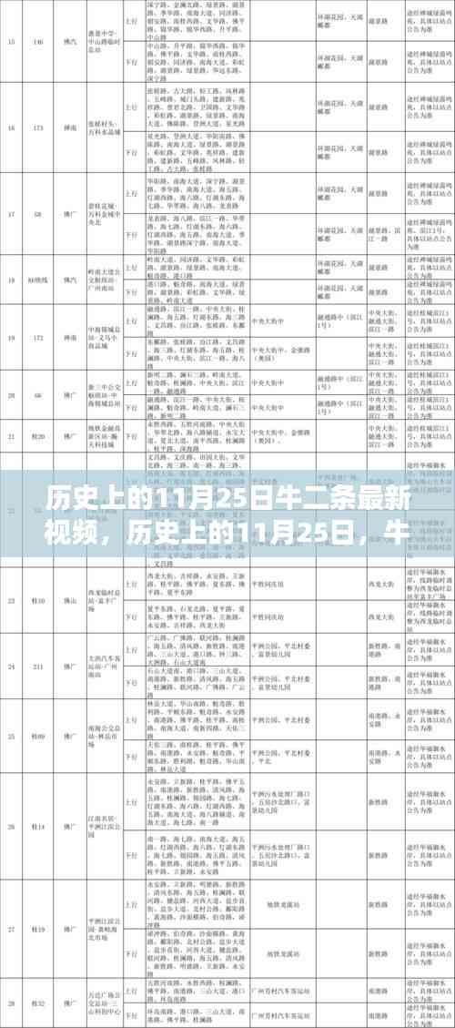 歷史上的11月25日牛二條最新視頻深度解析與評測