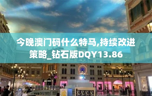 今晚澳門碼什么特馬,持續改進策略_鉆石版DQY13.86