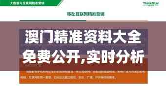 澳門精準資料大全免費公開,實時分析處理_旅行版MCF18.648