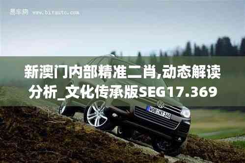 新澳門內(nèi)部精準(zhǔn)二肖,動態(tài)解讀分析_文化傳承版SEG17.369