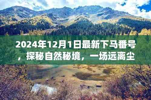 探秘自然秘境，啟程于2024年心靈之旅的冒險號角