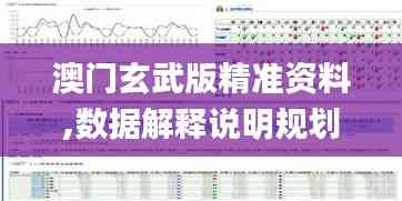 澳門玄武版精準資料,數據解釋說明規劃_CTL40.551藝術版