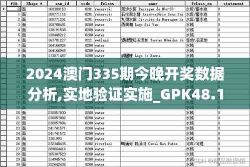 2024澳門335期今晚開獎數據分析,實地驗證實施_GPK48.117私人版