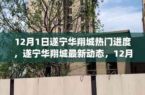遂寧華翔城12月1日最新動態(tài)及熱門進度全解析