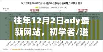 往年12月2日最新網站使用教程，初學者與進階用戶指南——需注意法律風險