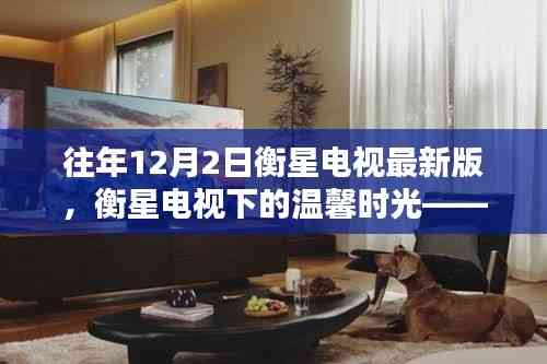 衡星電視下的溫馨時光，特別記憶中的12月2日版本回顧