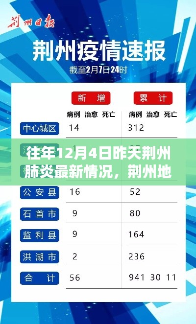 荊州地區(qū)往年12月4日昨日肺炎最新情況回顧與影響分析，回顧與啟示