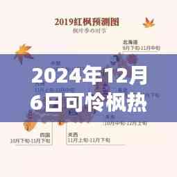 紀念特殊時刻,可憐楓熱背后的故事與影響——2024年12月6日時光印記