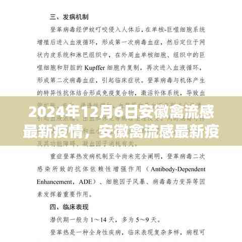深度觀察,安徽禽流感最新疫情背景、進展與影響分析(2024年12月6日)