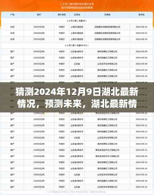 湖北未來展望,以2024年12月9日觀察節點預測湖北最新情況展望