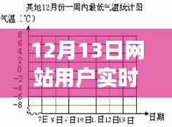 揭秘真相與爭議,12月13日網站用戶實時統計表格深度分析