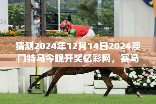 猜測2024年12月14日2024澳門特馬今晚開獎億彩網,賽馬概率游戲的冒險之旅