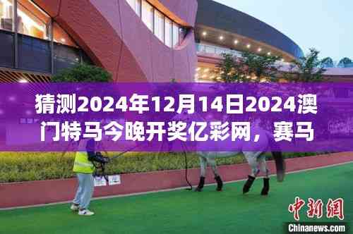 猜測2024年12月14日2024澳門特馬今晚開獎億彩網(wǎng)，賽馬概率游戲的冒險之旅