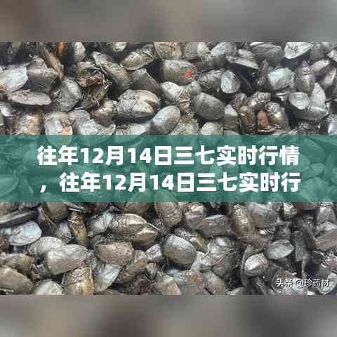 碧瓦飛甍 第4頁