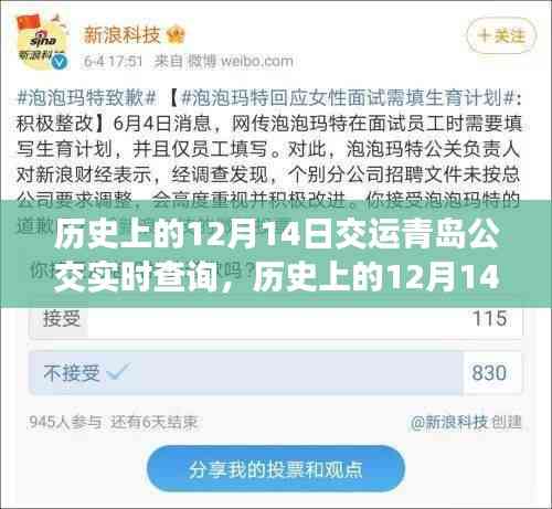 歷史上的12月14日,青島公交實時查詢系統的變遷與影響
