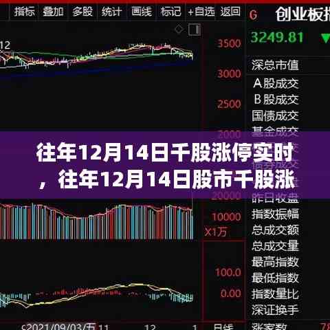 回顧往年12月14日股市千股漲停盛況,市場走勢分析與策略解讀