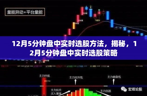 揭秘,12月5分鐘盤中實(shí)時選股策略與方法