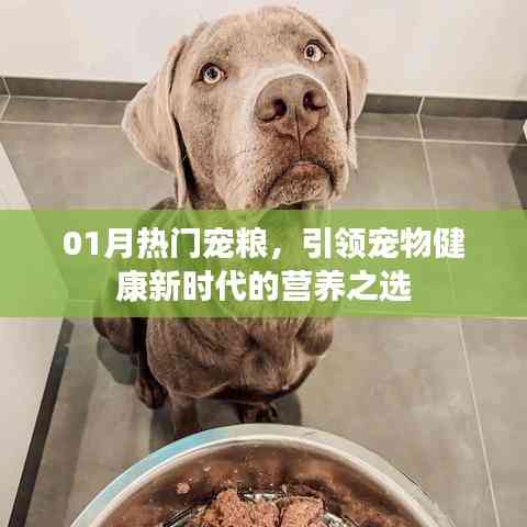 熱門寵糧引領(lǐng)新時(shí)代,寵物健康營(yíng)養(yǎng)之選