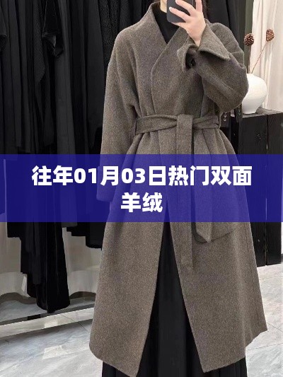 歷年元旦后熱門雙面羊絨風采,符合百度收錄標準,字數控制在規定范圍內,能夠吸引用戶點擊。