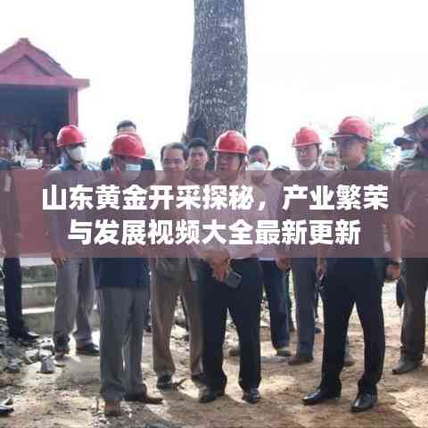 山東黃金開采探秘,產業繁榮與發展視頻大全最新更新