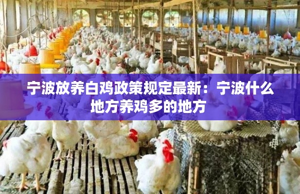 寧波放養白雞政策規定最新：寧波什么地方養雞多的地方 