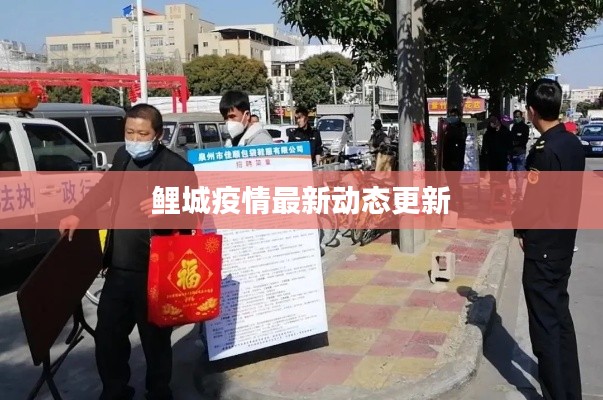 鯉城疫情最新動態更新