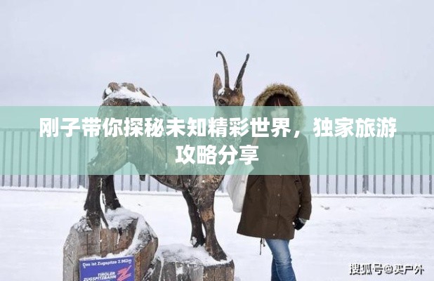 剛子帶你探秘未知精彩世界,獨家旅游攻略分享