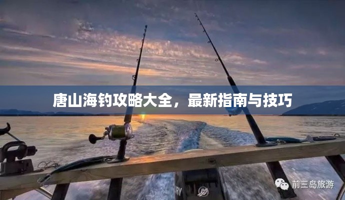 唐山海釣攻略大全,最新指南與技巧