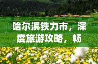 哈爾濱鐵力市,深度旅游攻略,暢游美景不容錯過!