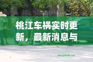 桃江車禍實(shí)時(shí)更新，最新消息與現(xiàn)場(chǎng)情況揭秘