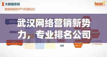 武漢網(wǎng)絡(luò)營銷新勢力，專業(yè)排名公司助力企業(yè)快速騰飛