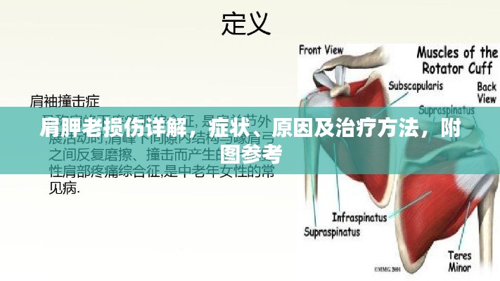 淺笑輕吟夢一曲 第3頁