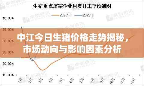 中江今日生豬價格走勢揭秘,市場動向與影響因素分析