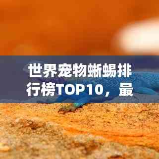 世界寵物蜥蜴排行榜TOP10，最受歡迎的寵物蜥蜴盤點