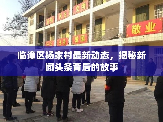 臨潼區(qū)楊家村最新動態(tài)，揭秘新聞?lì)^條背后的故事