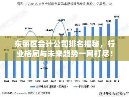 東麗區會計公司排名揭秘,行業格局與未來趨勢一網打盡!