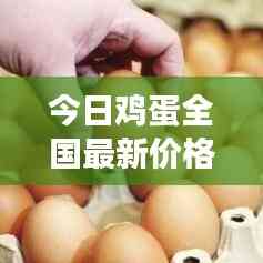 今日雞蛋全國最新價格走勢分析及未來展望