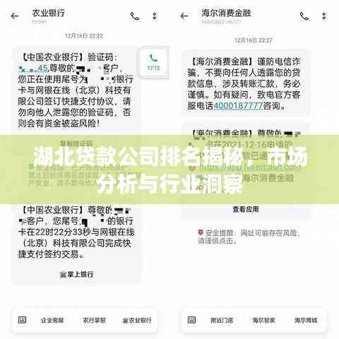 湖北貸款公司排名揭秘,市場分析與行業洞察