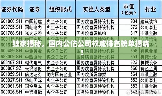獨家揭秘,國內公估公司權威排名榜單揭曉!