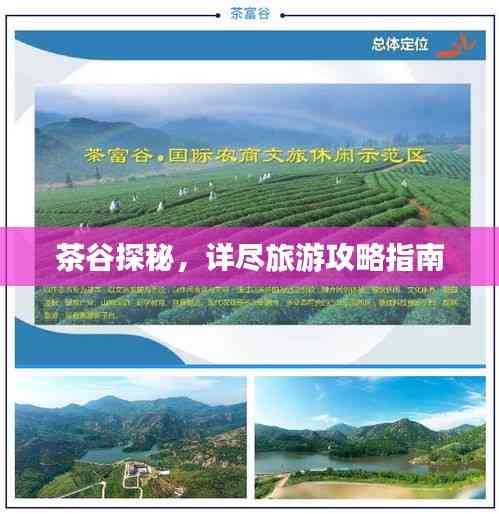 茶谷探秘,詳盡旅游攻略指南
