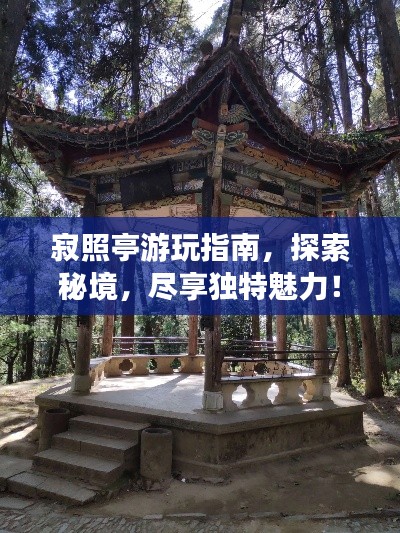 寂照亭游玩指南,探索秘境,盡享獨特魅力!