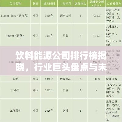 飲料能源公司排行榜揭曉，行業(yè)巨頭盤點(diǎn)與未來趨勢(shì)預(yù)測(cè)