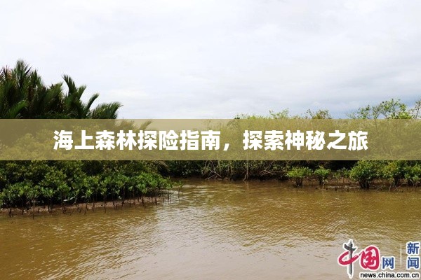海上森林探險指南,探索神秘之旅